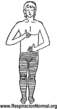 Verifica tu respiración: pecho y abdomen Ejercicios para respirar mejor