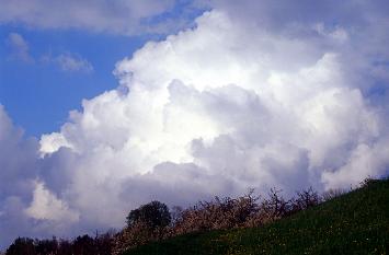 Nubes y bosque Arbolada con nubes, cielo y bosque