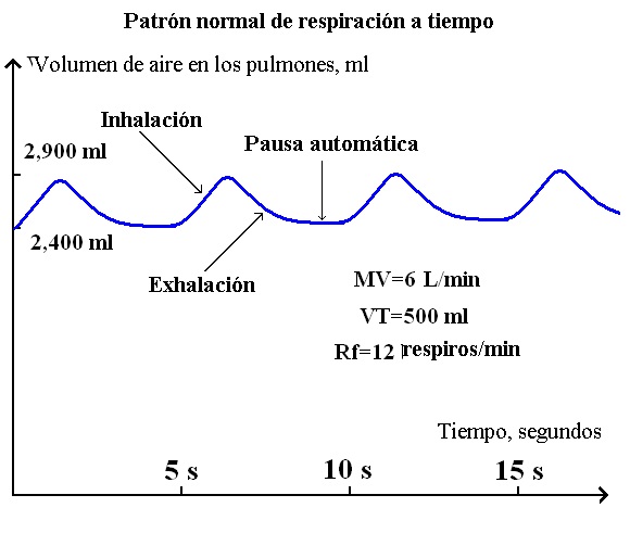 Patrón de respiración normal