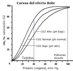 efecto-bohr3