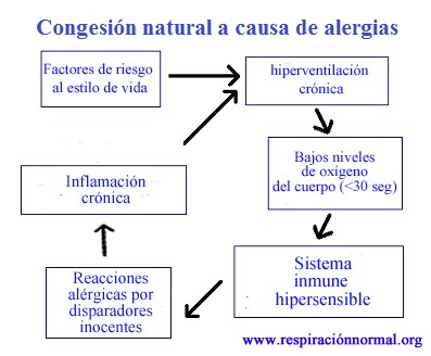 Cuadro de congestión natural a causa de alergias