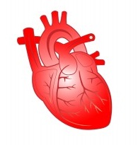 Figura de un corazón