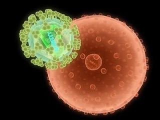 Ataque celular de un virus