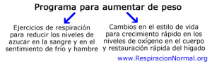 ComoAumentarDePeso
