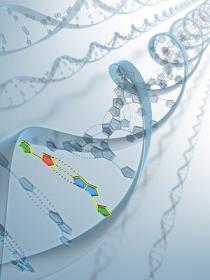 Imagen de DNA