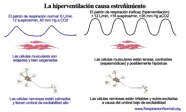Ejercicios respiratorios curan el estreñimiento y proporcionan un alivio en 1 minuto