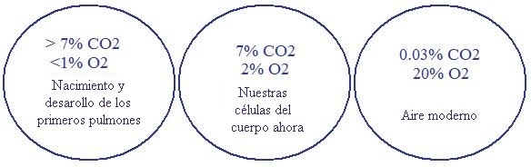 CO2 Oxígeno y evolución del aire