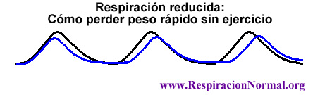 Cómo perder de peso rápido sin hacer ejercicios