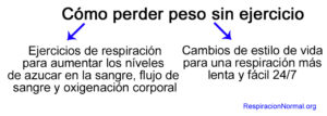 Como perder peso sin ejercicio